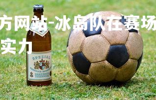 1xbet中文版官方网站-冰岛队在赛场上大放异彩，赢得胜利，冰岛队实力